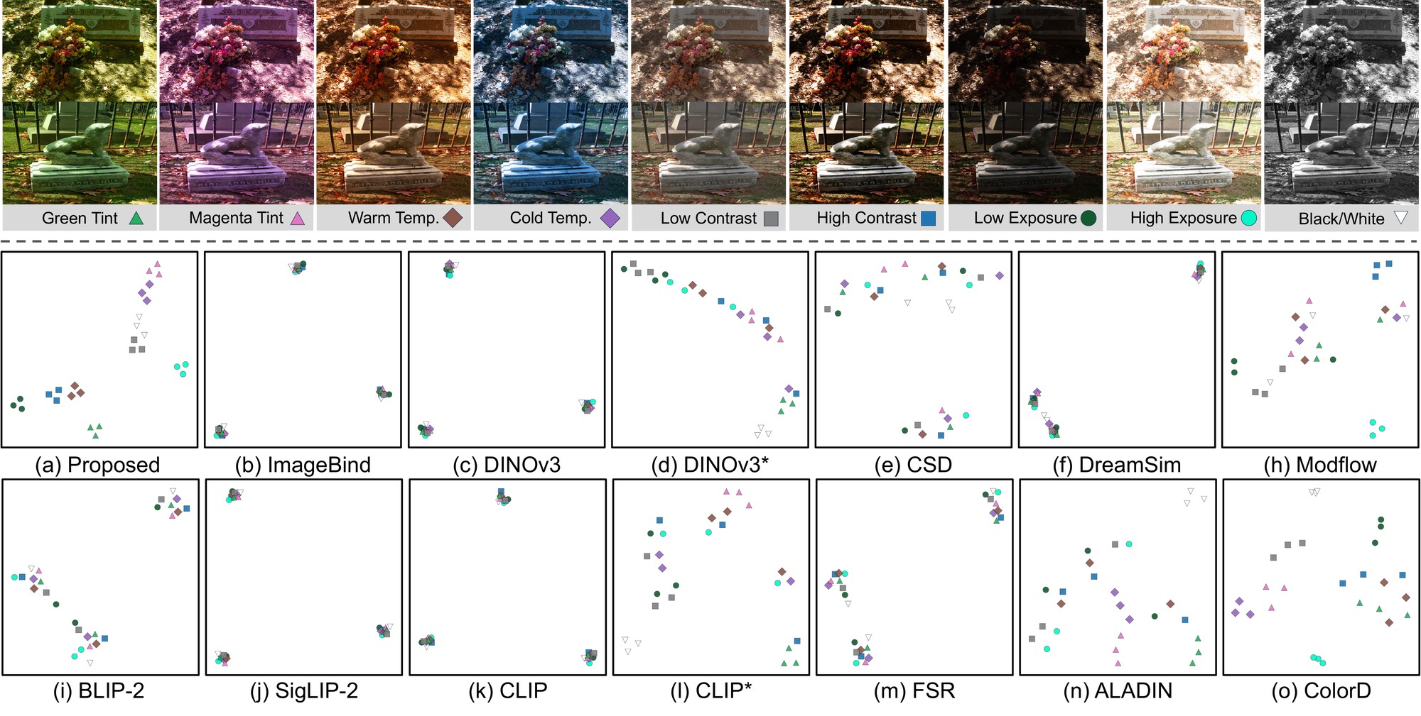 t-SNE of the photographic embedding vs baselines